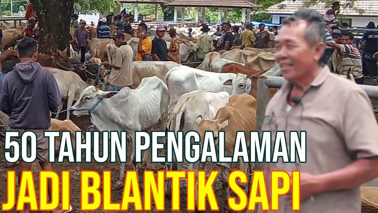 Kisah Blantik Pasar Sapi Purwakarta Sejak Usia 13 Tahun.jpg